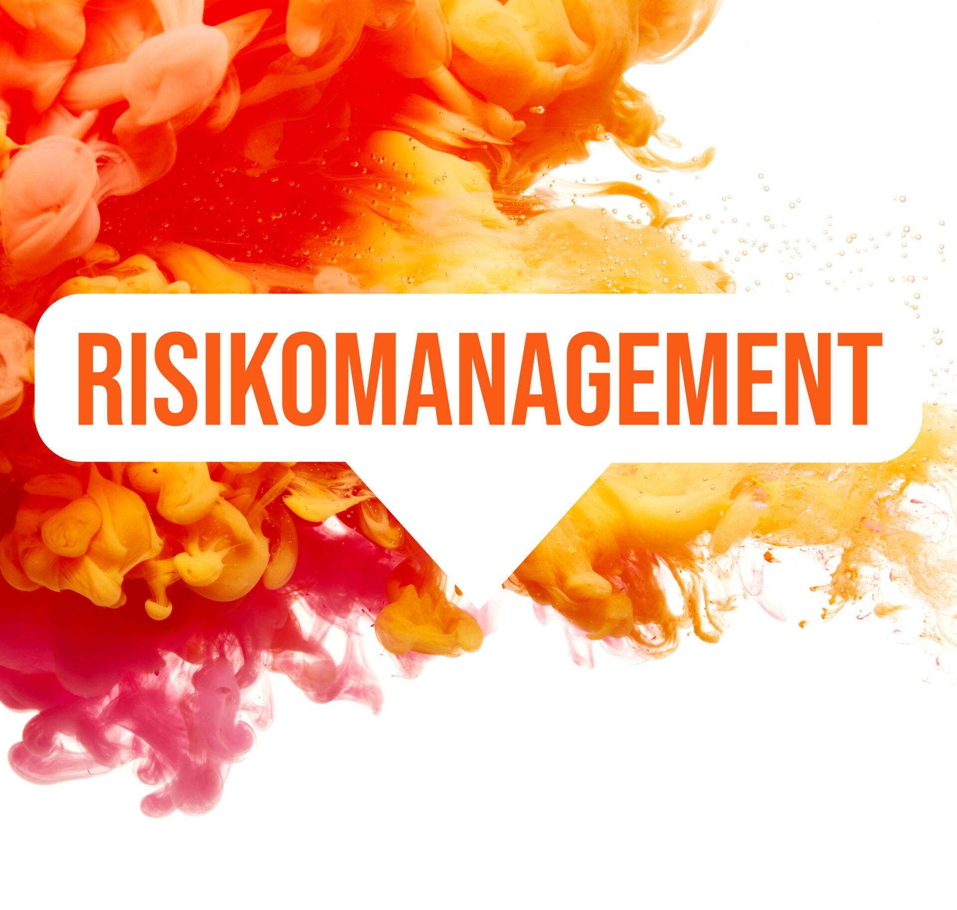 Seminare Risikomanagement